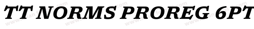 TT NORMS PROREG 6PT字体转换